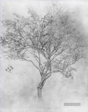  tree - Studie eines Lemon Tree Akademismus Frederic Leighton